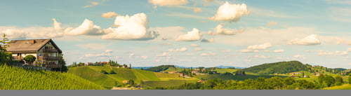 Preview: Vineyards panorama Leibnitz area famous destination wine street in south Styria in summer