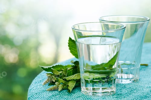 Preview: Glass of water and mint