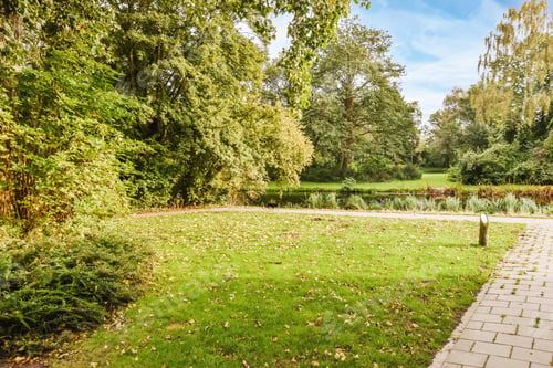 Preview: Delightful landscape with lawn
