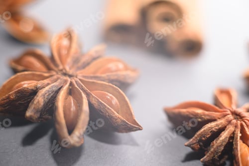 Preview: A star of anise tree on the grey background.