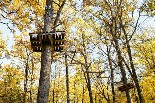 Preview: park for climbers in the autumn forest