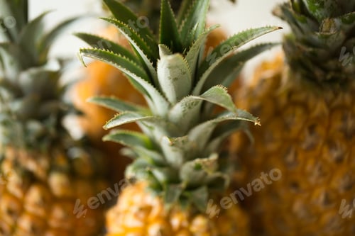 Preview: Pineapple background