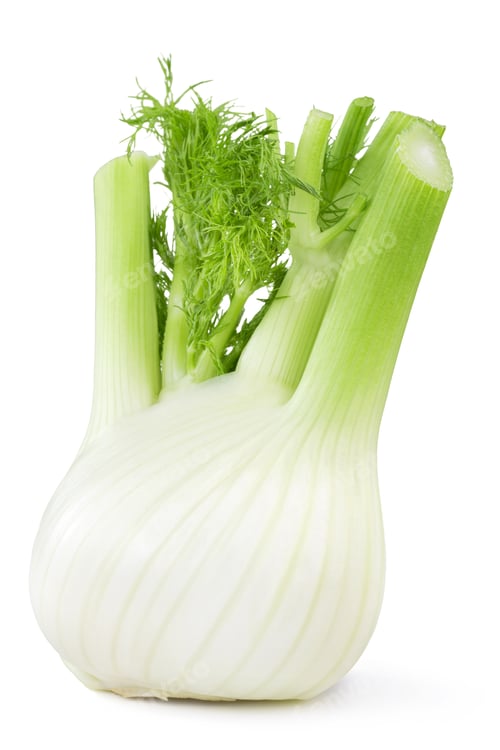 Vista previa: fresh fennel