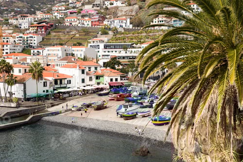 Preview: Camara De Lobos on Madeira island, Portugal
