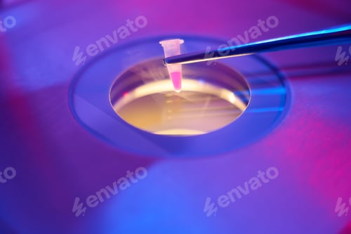 Preview: Embryologist places a small tube with biomaterial in cryostorage facility