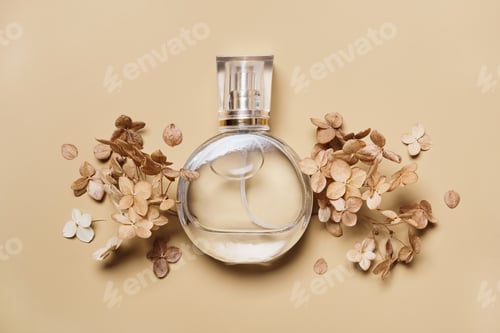 Preview: Women's perfume bottle mockup and dry hydrangea flowers on beige background. Natural earthy colors