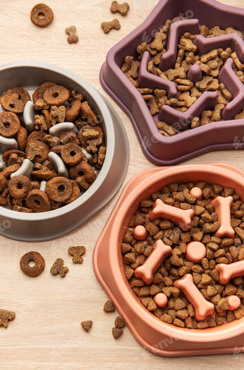 Preview: Slow feeder dog bowls with various dry food on wooden table