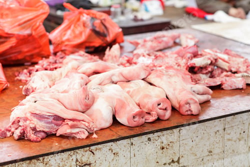 Preview: pig