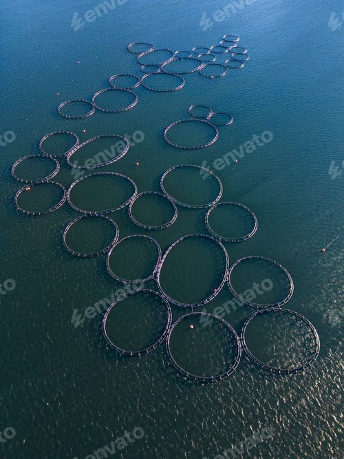 Preview: Salmon fish farm in the river aerial view