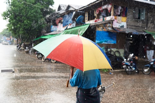 Preview: Myanmar, back view of man under umbrella in the rain