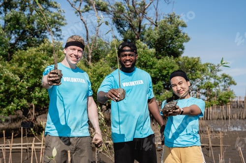 Preview: Volunteers help plant a forest to save the world in the forest park area.