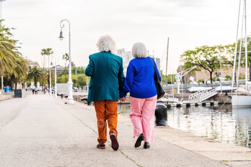 Preview: Senior couple of old people dating outdoors