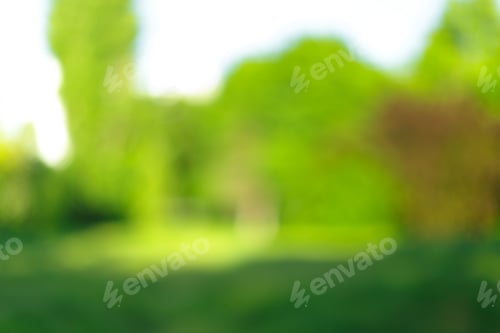 Preview: Blurred trees and plants in a park on sunny day background