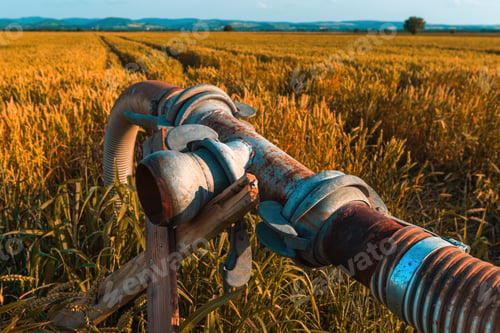 Preview: Old worn agricultural irrigation pipeline equipment in wheat field