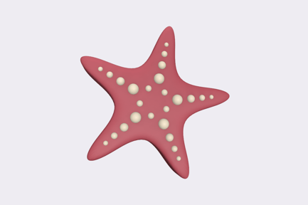 Preview: Starfish Soft 3D Illustration