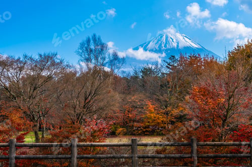 Preview: Beautiful landscape of mountain fuji with maple leaf tree around