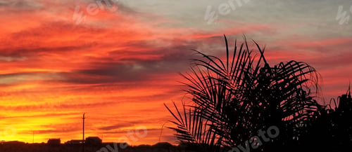 Preview: ORANGE! Sunset! Tropical Vibes!