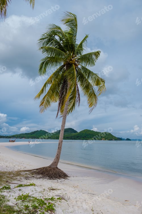 Preview: beach at the Island Koh Yao Yai thailand, beach with white sand and palm trees