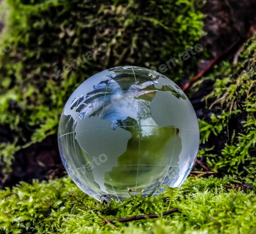 Preview: Glass Earth Globe Displayed on Mossy Forest Floor