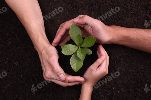 Preview: Hands protect Plant