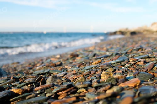 Preview: A closeup shot of the Rhode Island's rocky seashore
