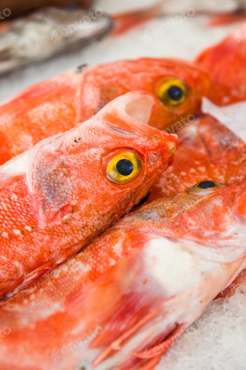 Preview: Fresh fishes on local fish market in Funchal at Madeira island in Portugal