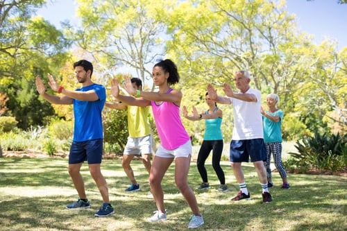Preview: Group of people exercising in the park
