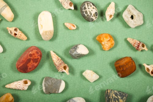 Preview: Shells And Stones Lie On A Bright Background