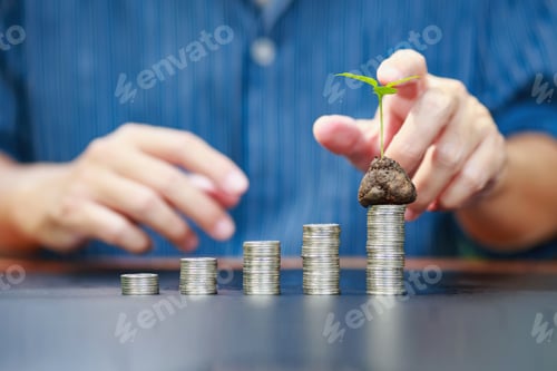 Preview: Saving money for wealth and growth of business income for rich invest plan concept.