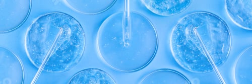 Preview: serum gel closeup in petri dish on a blue background