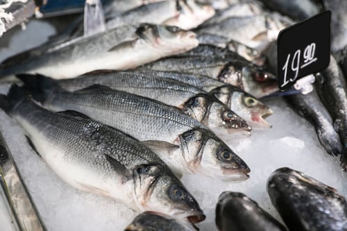 Preview: Different types of fresh fish on ice in supermarket, closeup