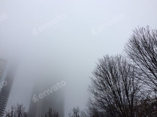 Preview: Foggy trees next to the skyscrapers