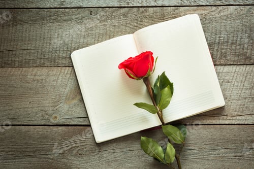 Vorschau: Rote Rose und Notizbuch auf Holzbrett. Ansicht von oben.