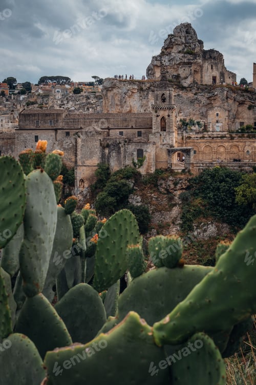 Preview: Picturesque landscape featuring a historic building and cacti in the foreground in Matera, Italy