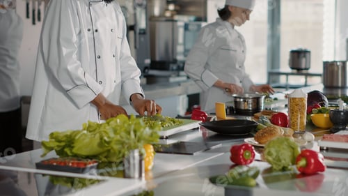 Preview: Portrait of african american cook in uniform making meal preparations