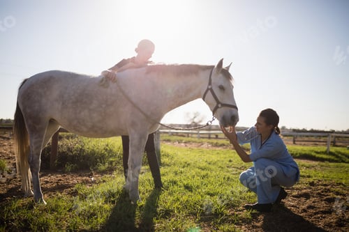 Preview: Woman looking at vet examining horse in barn