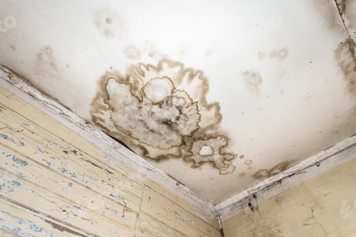 Preview: Mold spots on the ceiling or wall