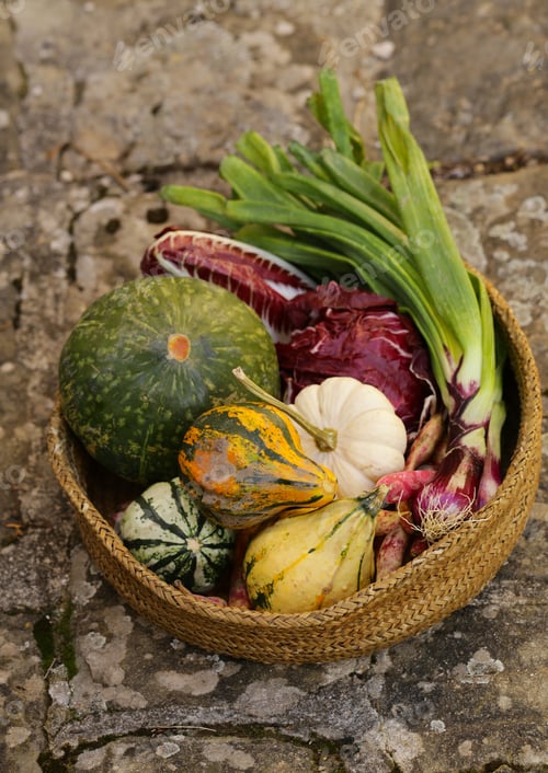 Preview: Autumn Vegetables Harvest