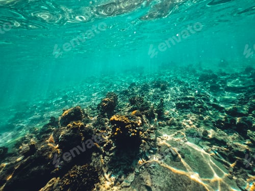Preview: Underwater at the beach on the island
