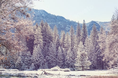 Preview: Winter in Yosemite