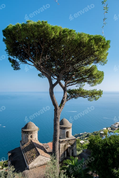 Preview: A stunning view of the Amalfi Coast with historic architecture and a majestic pine tree