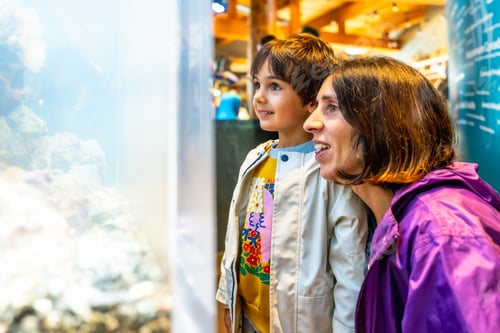 Preview: Mother and child observing marine life in large aquarium tank