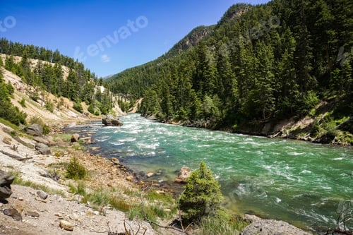 Preview: Yellowstone river on a summer day