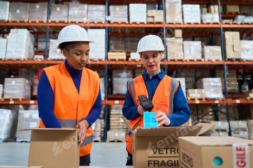 Preview: Women workers scanning parcels in warehouse