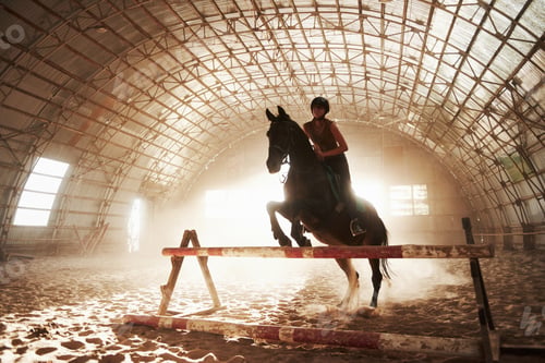 Preview: Majestic image of horse horse silhouette with rider on sunset background. The girl jockey