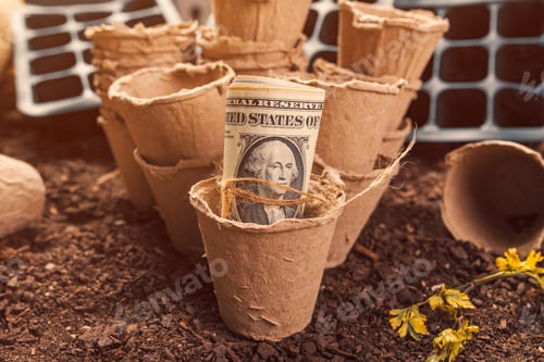 Preview: Biodegradable peat pot soil containers and US dollar banknotes