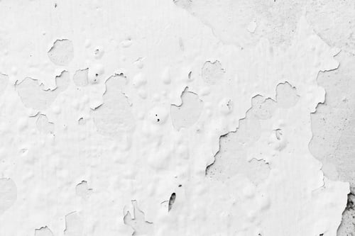 Preview: Light Gray Stucco Wall Texture. Abstract Background