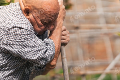 Preview: Profile of elder man working in an orchard