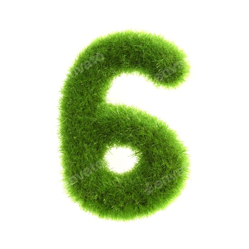 Preview: Grass "6" Number, Isolated On White Background.