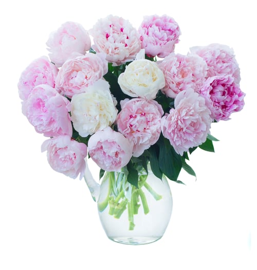 Preview: Pink and White Peonies in Glass Pitcher